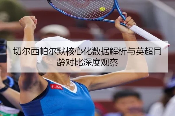 切尔西帕尔默核心化数据解析与英超同龄对比深度观察